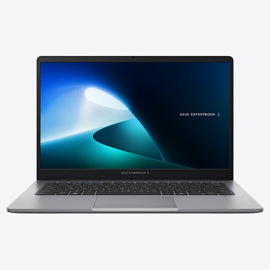 ASUS ExpertBook P1 P1403CVA-S61681X