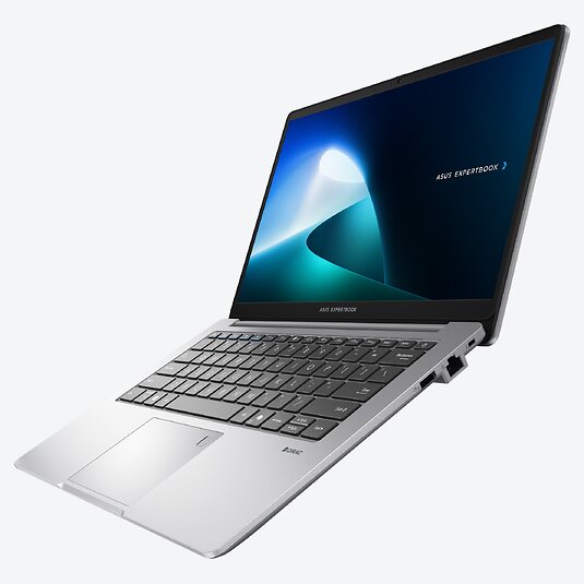 ASUS ExpertBook P1 P1403CVA-S61681X