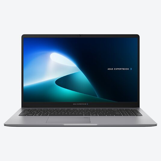 ASUS ExpertBook P1 P1503CVA-S72336