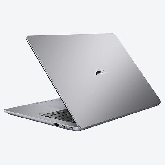 ASUS ExpertBook P3 G1 P3406CCA-LY0393
