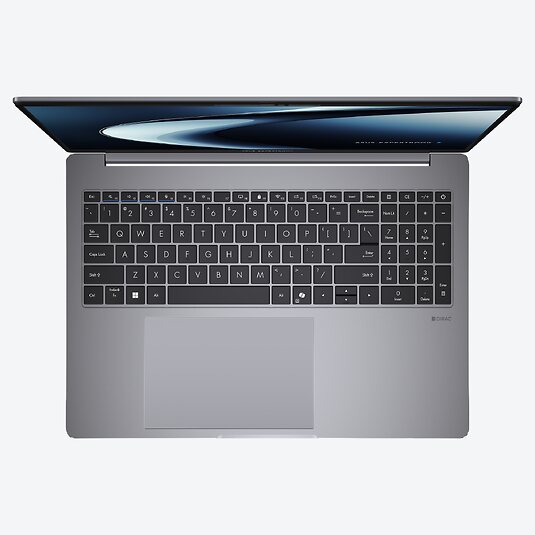 ASUS ExpertBook PM3 PM3606CKA-MB0196X