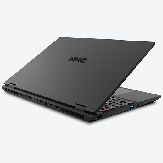 XMG CORE 15 (M25fwp)