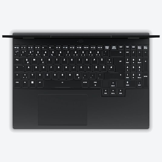 XMG EVO 15 (E25ddh)