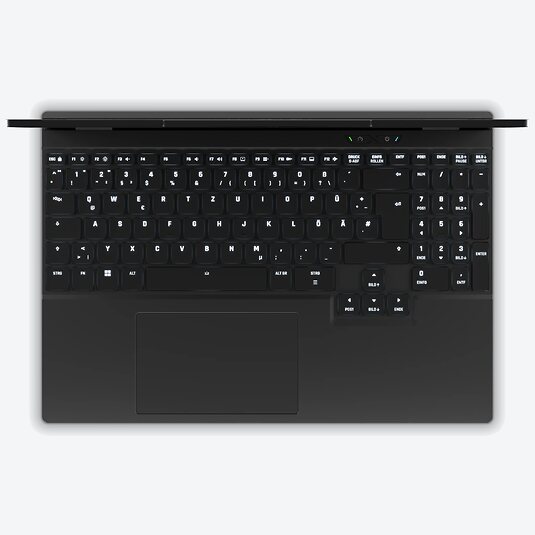 XMG FUSION 15 (L25svg)