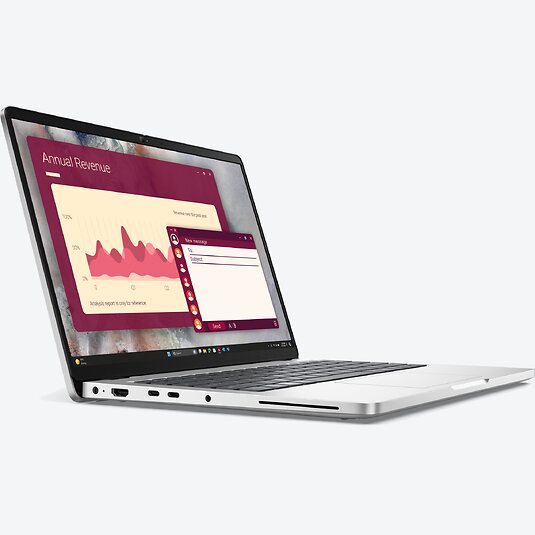 Dell Pro 14 PC14250 (P8K0D)