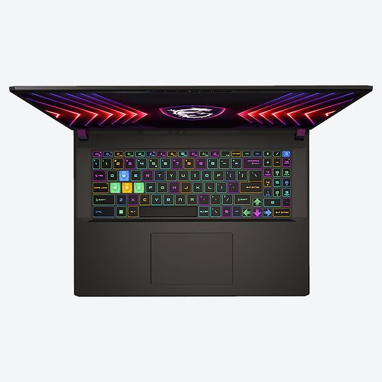 MSI Vector 17 HX A13VIG-673