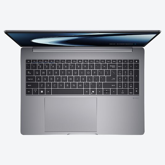 ASUS ExpertBook P3 P3605CVA-MB0023X