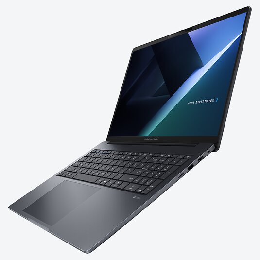 ASUS ExpertBook B3 B3605CCA-MB1317X