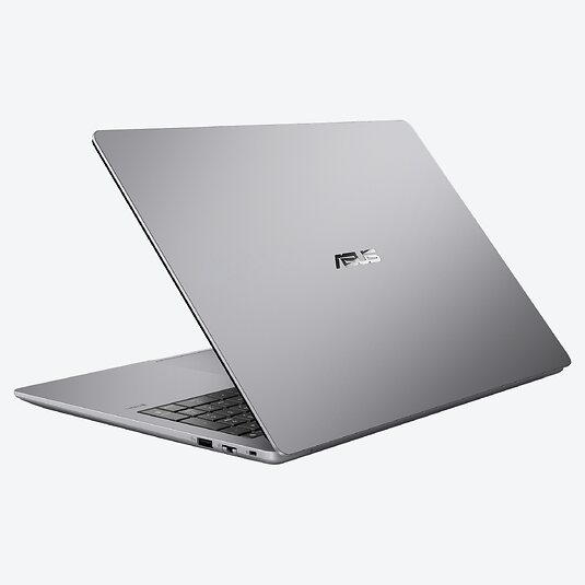 ASUS ExpertBook P3 G1 P3606CCA-MB0356
