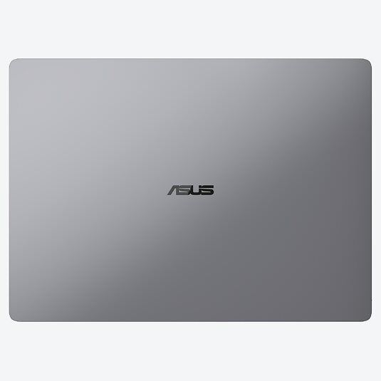 ASUS ExpertBook P5 G1 P5406CCA-NZ0221X