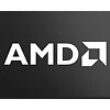 AMD 3020e